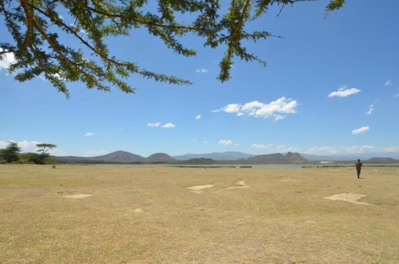 Jacaranda Lake Elementaita Lodge Gilgil Eksteriør bilde