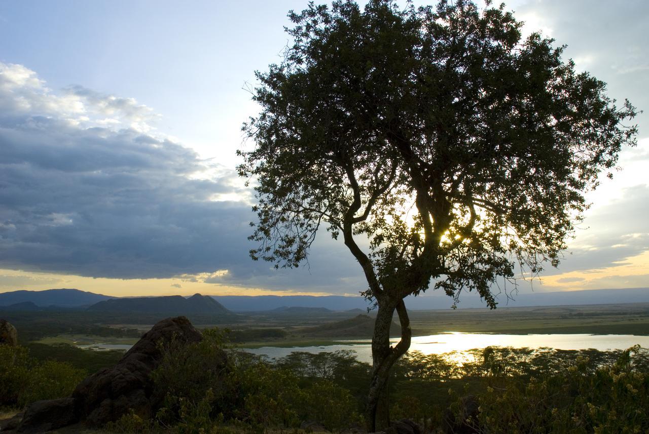 Jacaranda Lake Elementaita Lodge Gilgil Eksteriør bilde