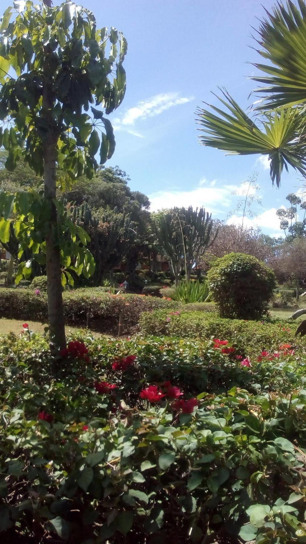Jacaranda Lake Elementaita Lodge Gilgil Eksteriør bilde
